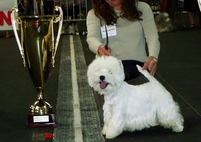 VERMINATOR CHAMPION INTERNATIONAL