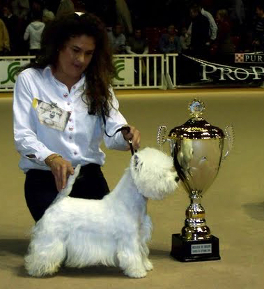 TOUCH-OF-CLASS CHAMPION DU MONDE